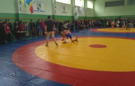 "Інваспорт" провів обласний чемпіонат з вільної боротьби та дзюдо