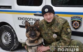 На Тернопільщині поліцейський собака врятував чоловіка в лісі