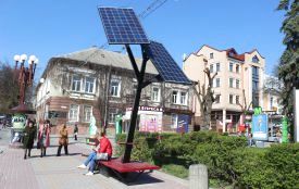 Як у Тернополі рятують “Сонячні дерева” від вандалів