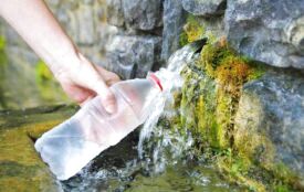 У яких джерелах біля Тернополя зараз не варто набирати воду