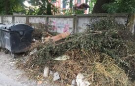 Жителі "Нового світу" вимагають довести до ладу занедбаний мікрорайон. А що ж комунальники?..