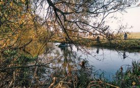 В річці біля Буданова виявили тіло жінки, яка зникла 10 жовтня