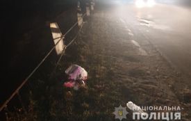 У Підгородньому на дорозі збили чоловіка