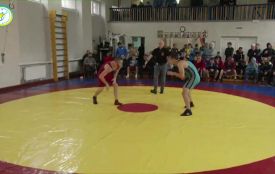 Борці вільного стилю здобули дві нагороди на Кубку України