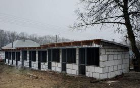 У Дичкові ще будують нові вольєри для безпритульних собак: що уже зробили