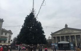 Фото дня: головну ялинку Тернополя розбирають
