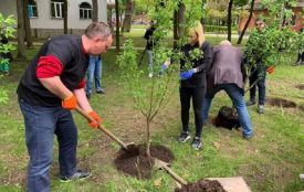 «1 мільйон дерев за 24 години»: Тернопіль долучився до всеукраїнського флешмобу