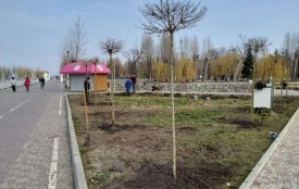 У парках Тернополя висадили екзотичні дерева і кущі