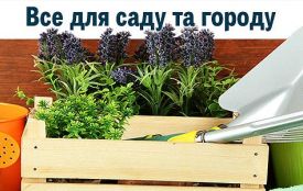 Де у Тернополі купити насіння, садженці та добрива для саду та городу