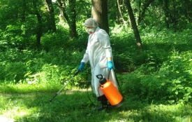 Тернопільські парки починають обробляти від кліщів (ГРАФІК)