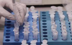 На Тернопільщині зростає кількість інфікованих коронавірусом. Яка ситуація в районах?