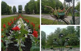 Металеві дерева встановили в парку «Топільче»: одні хвалять, інші кажуть, що конструкції недоцільні