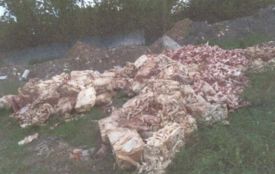 Кістки та рештки тварин: підприємець створив звалище тваринних відходів просто неба. Як його покарають?