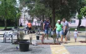 На вулиці Качали у новому трансфер-містечку висаджують дерева (ФОТО ДНЯ)