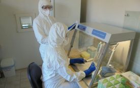 На Тернопільщині за добу 282 людини захворіли на  COVID-19, троє - померли. Яка ситуація в районах?