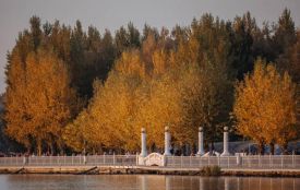 Куди піти та що подивитися: перелік культурних заходів у жовтні