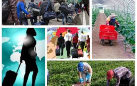 Заробітки відміняються? У які країни не пускають і звідки можуть депортувати (КАРТА)