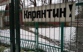 За і проти: чи потрібно було умертвляти лебедів у парку «Топільче» та куди поділи їх тіла