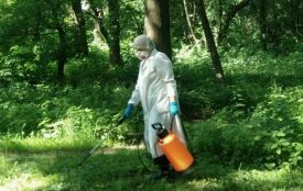 4 червня два парки у Тернополі кропитимуть від кліщів