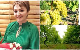 Сімейна справа в пам'ять про тата та чоловіка: де на Тернопільщині є виноробня з гектарами виноградників