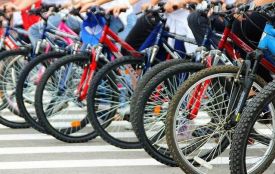 На вихідних у парку «Топільче» відбудеться велопробіг. Запрошують усіх охочих