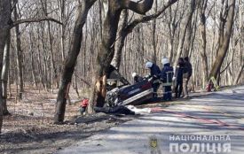 Смертельна аварія на Тернопільщині: водій врізався в дерево