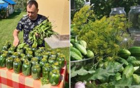 Смачні та бюджетні рецепти консервації від відомого священника Олексія Філюка