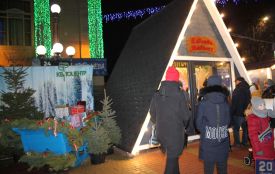 Замість ялинки у Тернополі буде Різдвяна шопка та Резиденція Святого Миколая