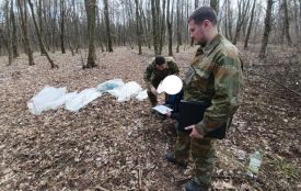 У парку «Здоров’я» знову виявили збирача березового соку. Чоловік заплатить штраф