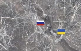 Прокуратура розслідує розстріли українських полонених в Авдіївці та Веселому