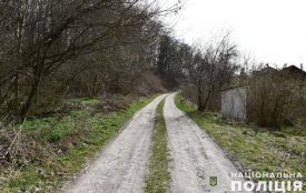 Біля Тернополя чоловік вчинив сексуальне насильство над жінкою і забрав гроші