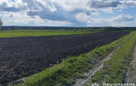 У полі на Бучаччині знайшли мертвою зниклу 72-річну жінку
