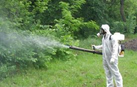 Тернополян просять утриматись від відвідування парків