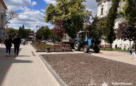 У центрі Тернополя висаджують літні квітники