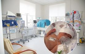 Тут рятують життя немовлят: як працює реанімаційне відділення Тернопільського перинатального центру