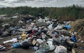 Гори сміття на стихійних звалищах виявили в одній з громад Тернопільщини