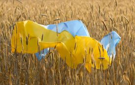 У Чортківські громаді організували флешмоб до Дня Прапора
