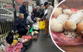У Тернополі продають лісові гриби: скільки коштують та як обрати