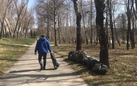 Двомісячник благоустрою розпочнеться у Тернополі