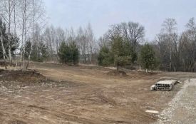 Житель Золотопотіцької громади незаконно приватизував землю в лісі: прокуратура оскаржує у суді