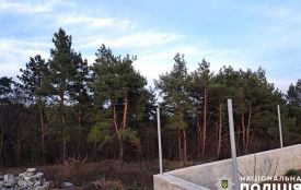18-річний житель Чортківщини намагався відкупитися від поліції за незаконну вирубку деревини