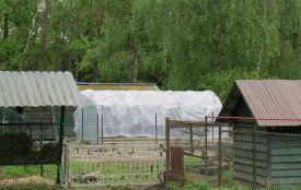 У парку Сопільче облаштовують теплицю для міської ферми