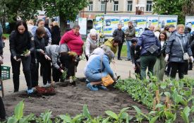 Матері полеглих Героїв висадили квіти у центрі Тернополя