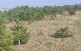 12 гектарів землі біля Почаєва повернули у власність громади, бо орендар не сплатив 24 тисячі