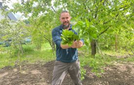 Готуємо зелений борщ з кропивою