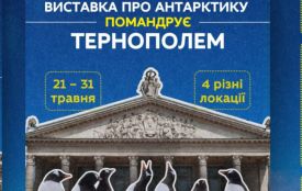 Виставка про Антарктиду приїде до Тернополя: де та коли подивитись