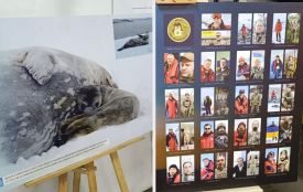 Вражені навіть іноземці. Уперше в Тернополі представили виставку світлин про Антарктику