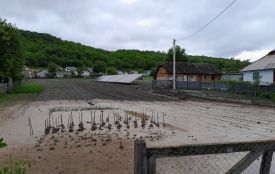 Підтопило дорогу та городи: на Чортківщині ліквідовують наслідки негоди