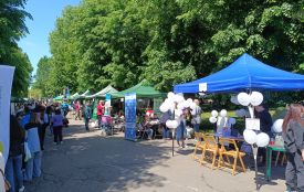 Квести, дрони, смаколики. Свято дитинства організували у парку Шевченка
