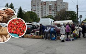 Огірки – 50 грн, сир – від 100, полуниця – від 130 грн: як змінилися ціни на ярмарку у Тернополі